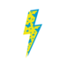 lve foundation logo