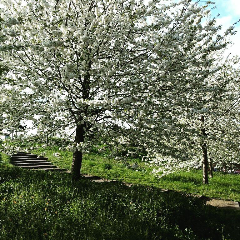Graphics